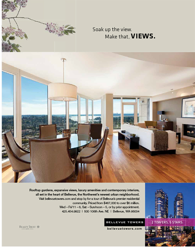 BellevueTowersCampaign_Views